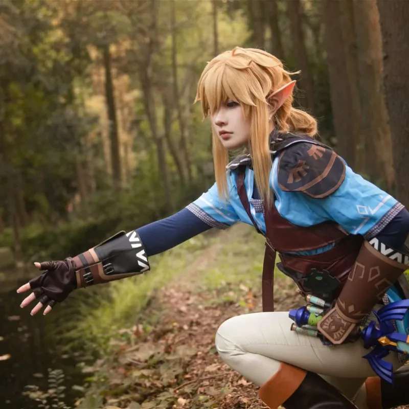 Game Zelda Breath of The Wild  - đánh giá và giá Zelda Party Games